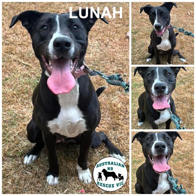 Photo of Lunah 