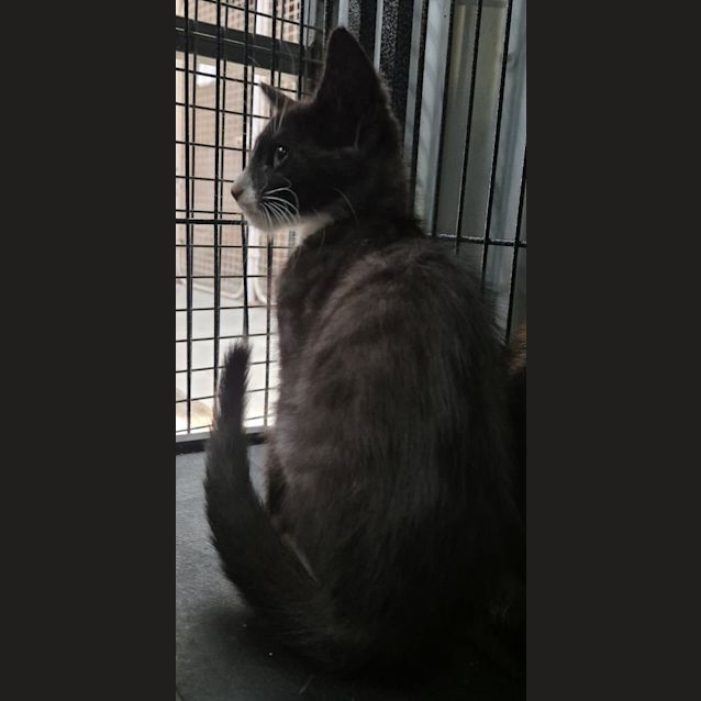 Photo of Little Guy