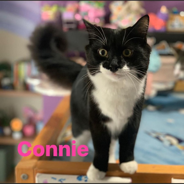 Photo of Connie 
