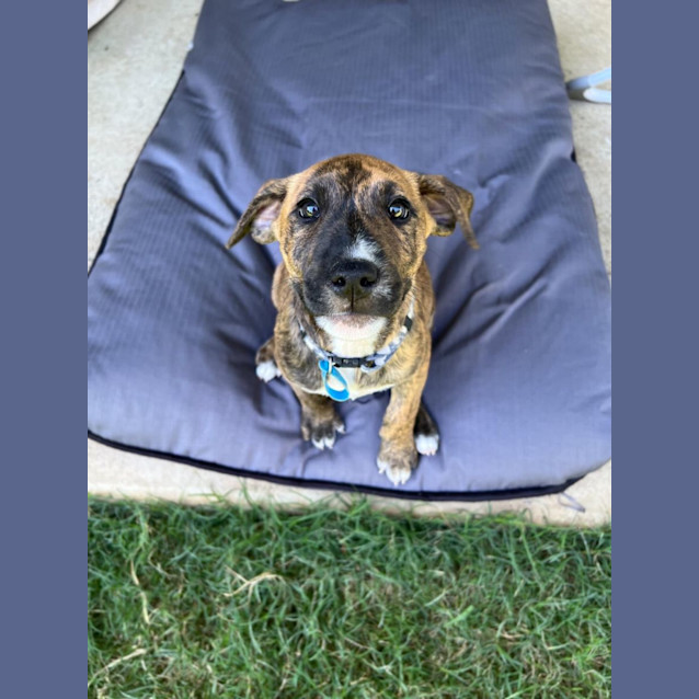 Photo of Diva