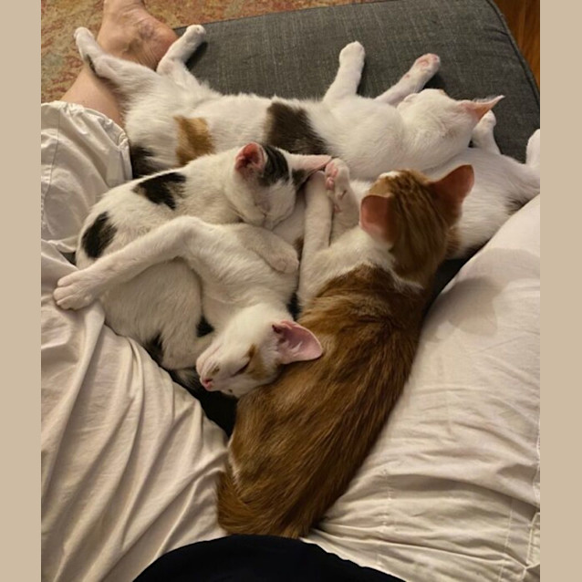 Photo of Indiana Ginge