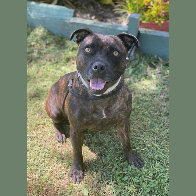 Photo of Josie