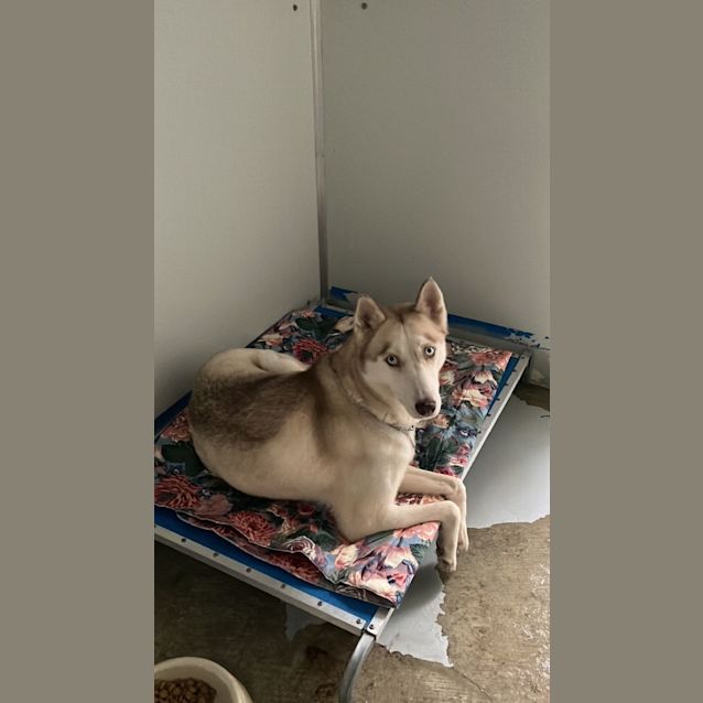 Photo of Lucy