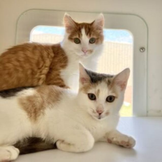 Photo of Salt & Peanut