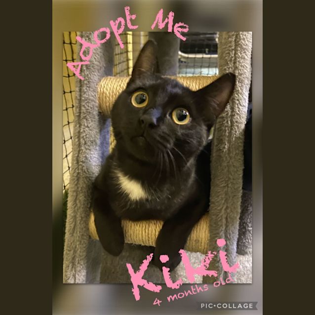 Photo of Kiki