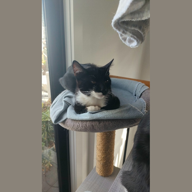 Photo of Klaus