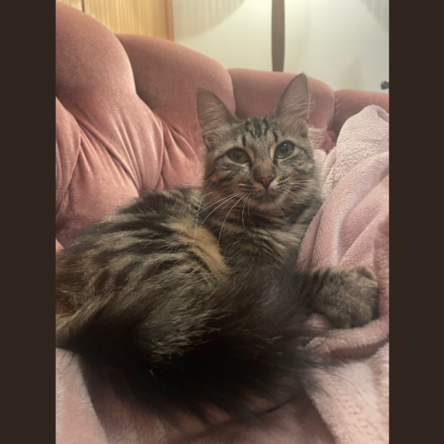 Photo of Sally