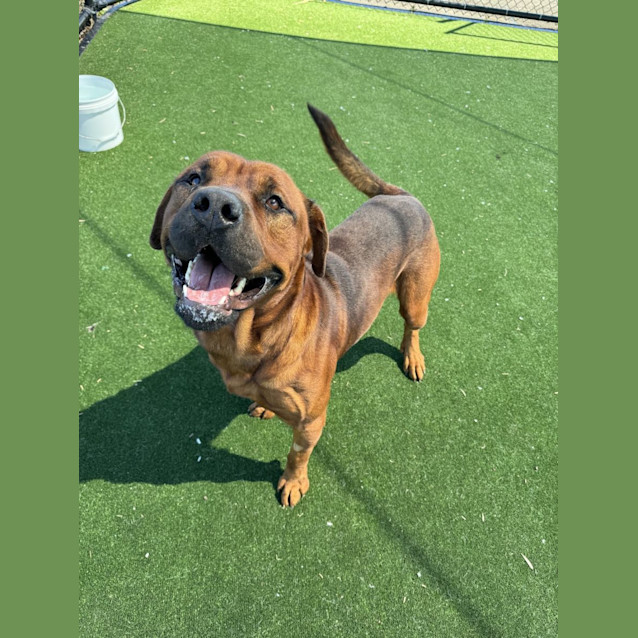 Photo of Logan Imp 1048