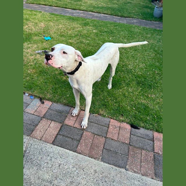 Photo of Wintonio