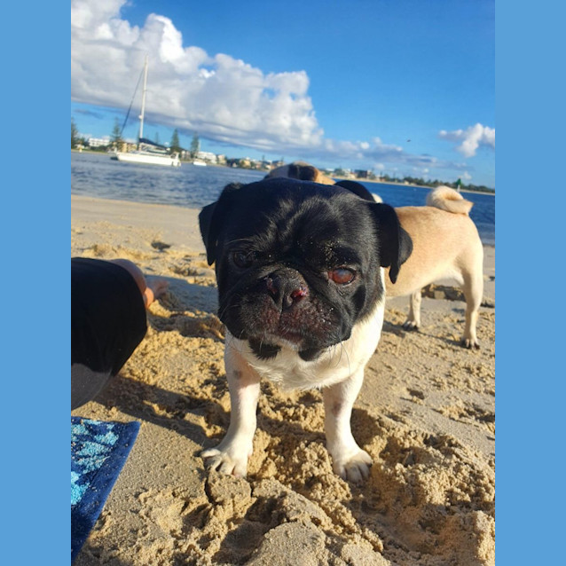 Photo of Freddie 🐼