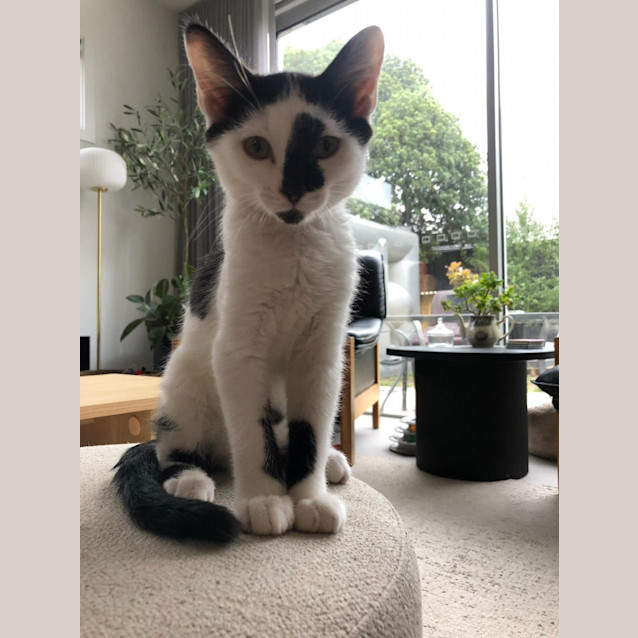Photo of Charlotte