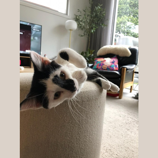 Photo of Charlotte