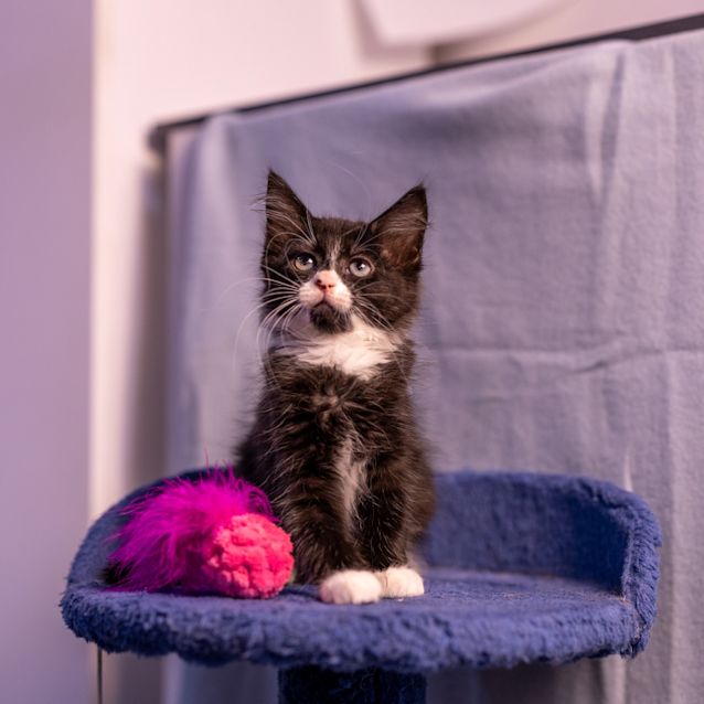Photo of Boots