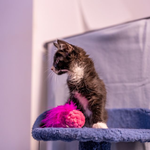 Photo of Boots