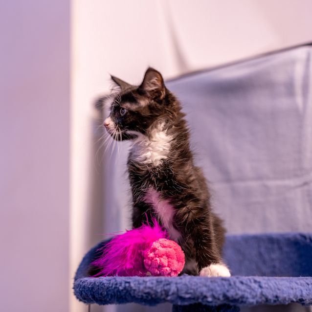 Photo of Boots