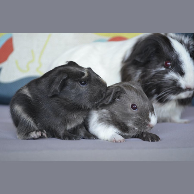 Photo of Barry And Gregory