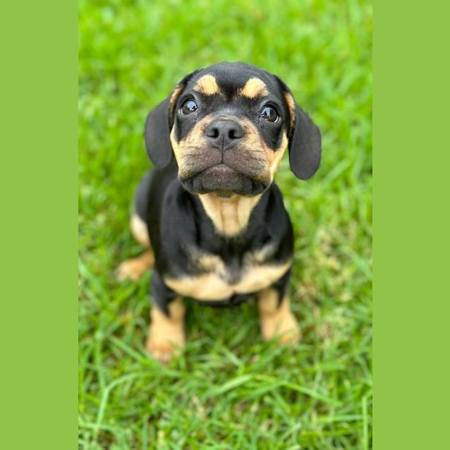 Photo of Sasha