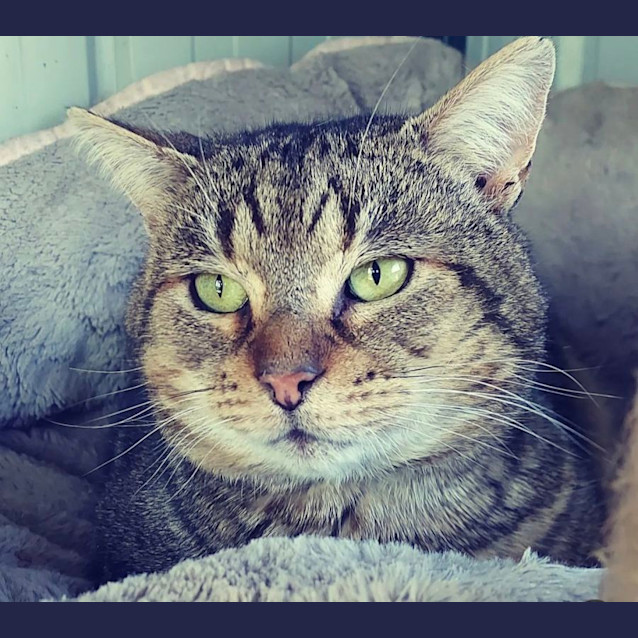 Photo of Albert & Malcolm 😻😻