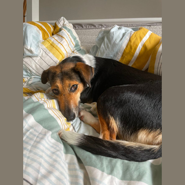 Photo of Maggie