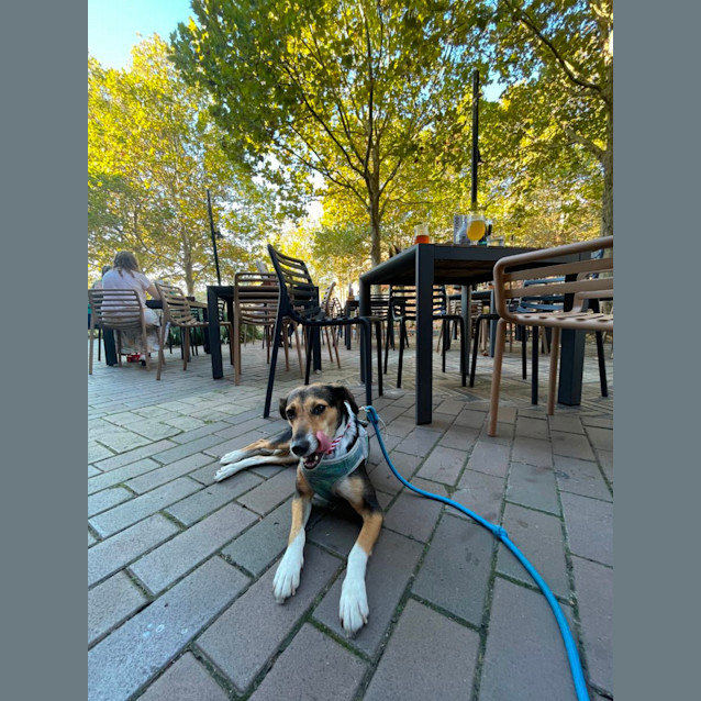 Photo of Maggie