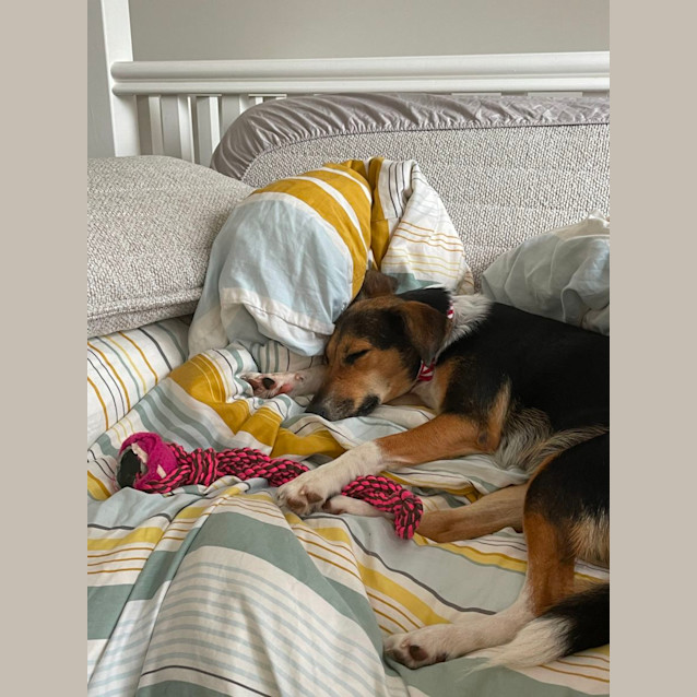 Photo of Maggie