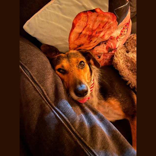 Photo of Maggie