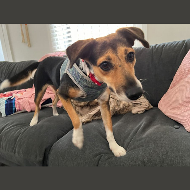 Photo of Maggie