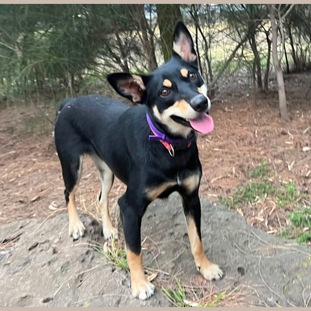 Photo of Zoe