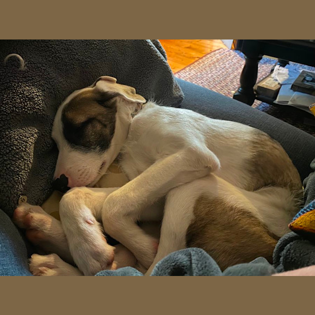 Photo of Donnie 