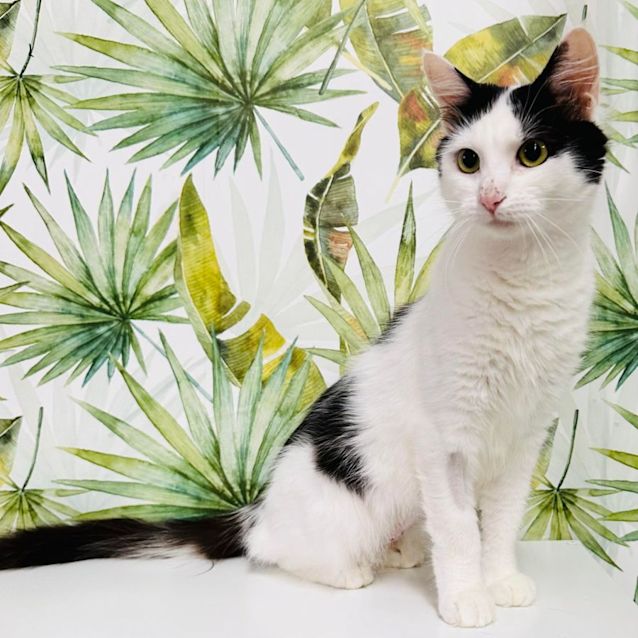 Photo of Ivy   Located In Preston