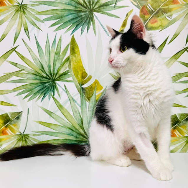 Photo of Ivy   Located In Preston