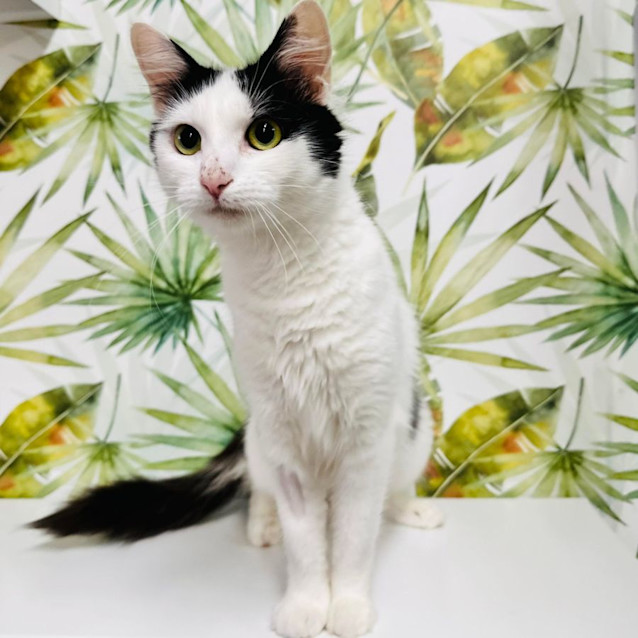 Photo of Ivy   Located In Preston