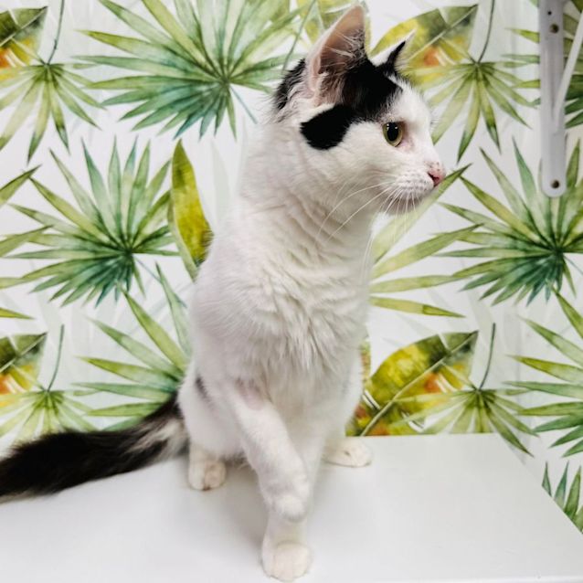 Photo of Ivy   Located In Preston