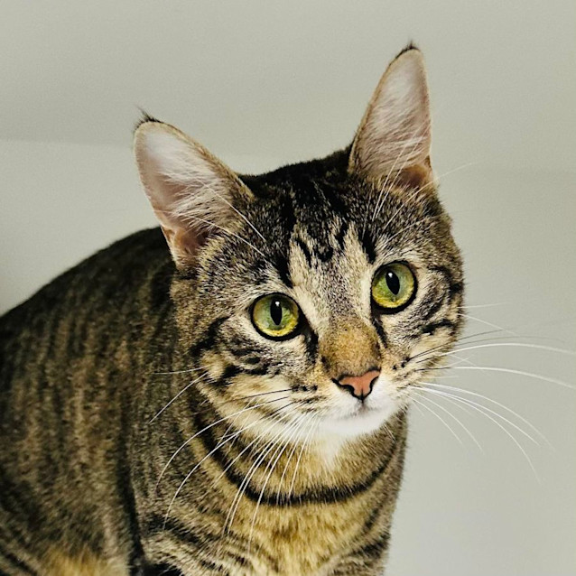 Photo of Zora   Located In Preston