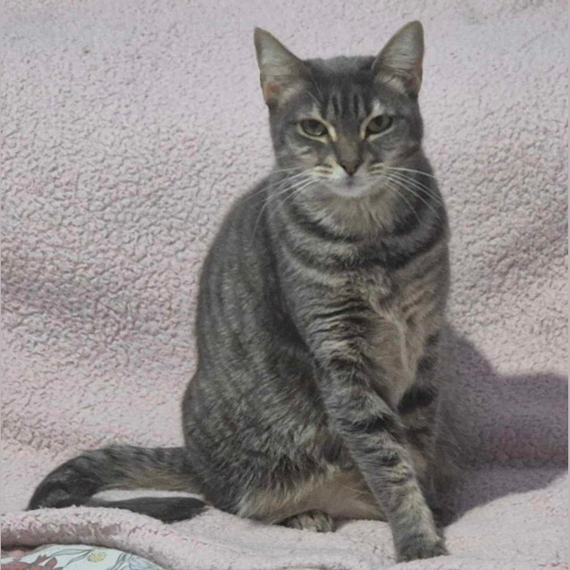 Photo of Charlotte 🩷