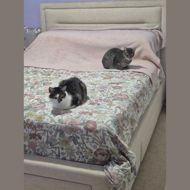 Photo of Charlotte 🩷