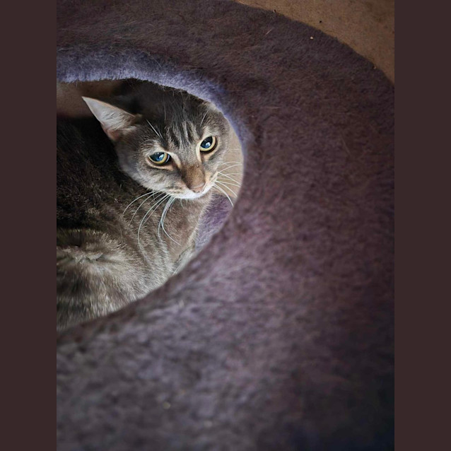 Photo of Charlotte 🩷