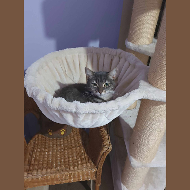 Photo of Charlotte 🩷