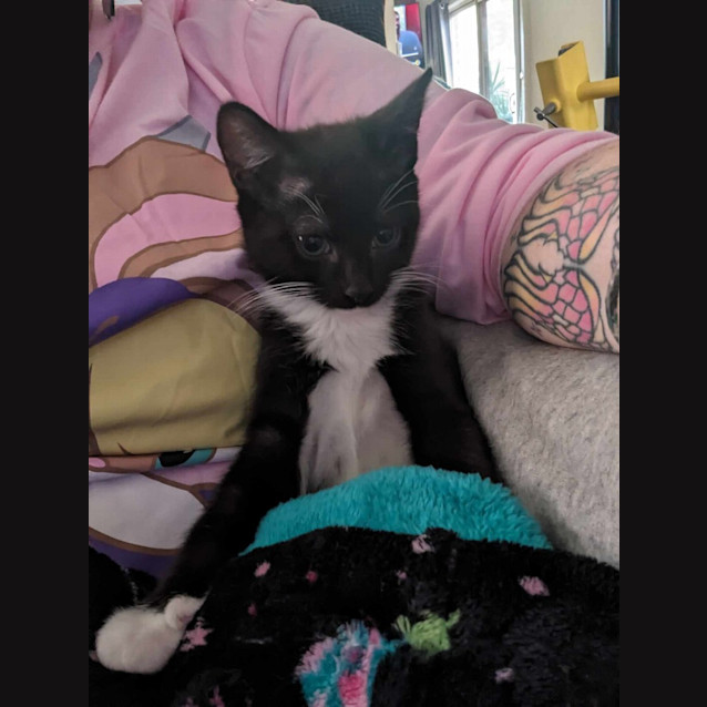 Photo of Freya