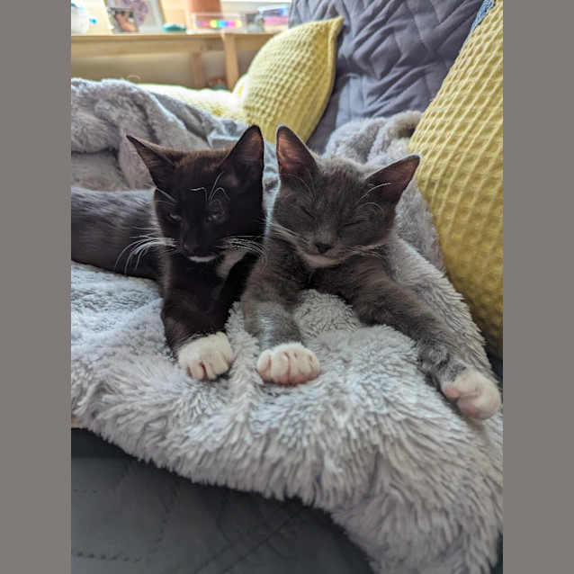Photo of Freya