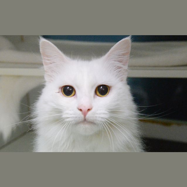 Photo of Lilly