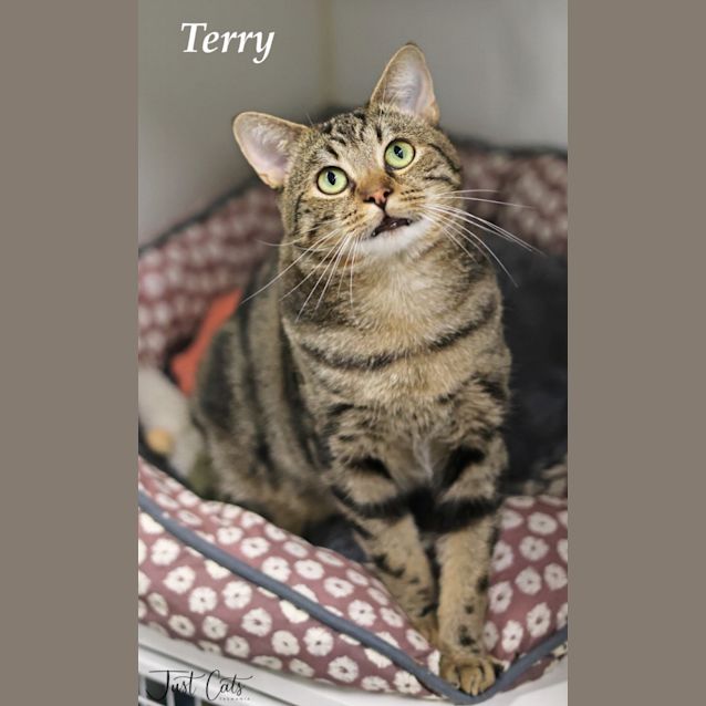 Photo of Terry
