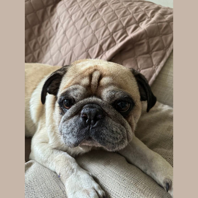 Photo of George 🍀