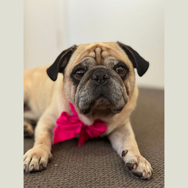 Photo of George 🍀