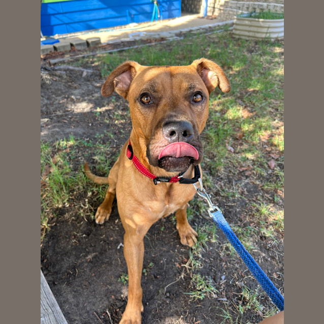 Photo of Trevor