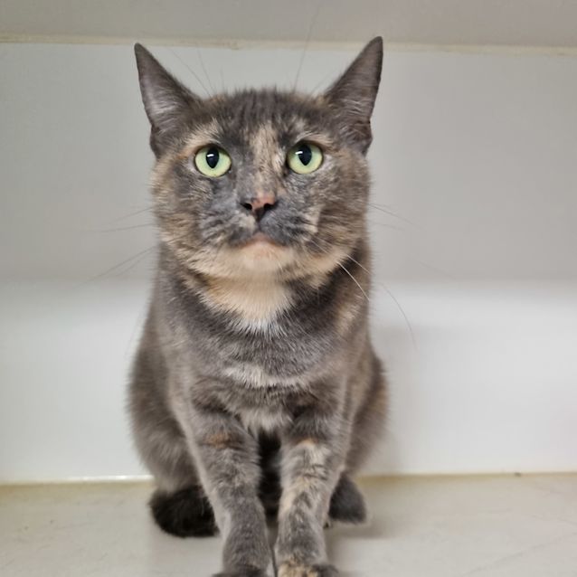 Photo of Jasmine