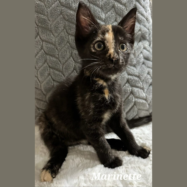 Photo of Marinette 