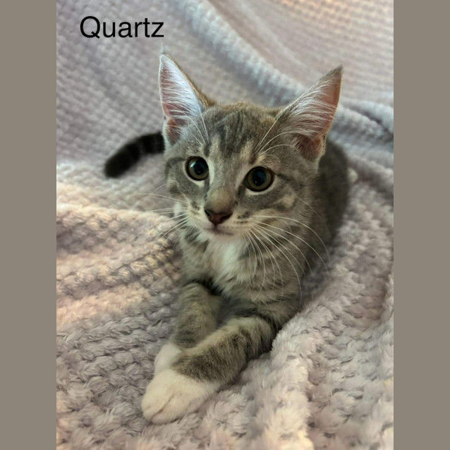 Photo of Quartz