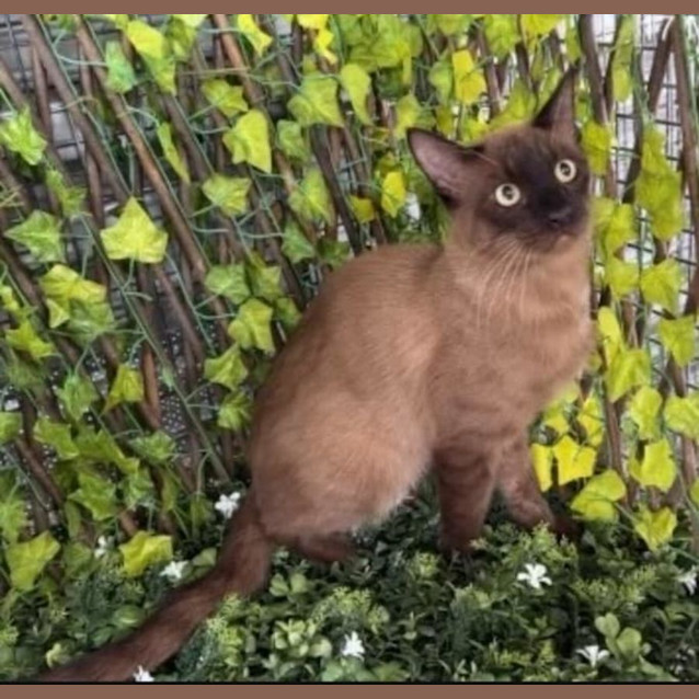 Photo of Ferrero