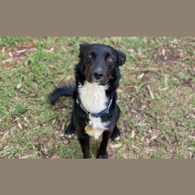 Photo of Rocket